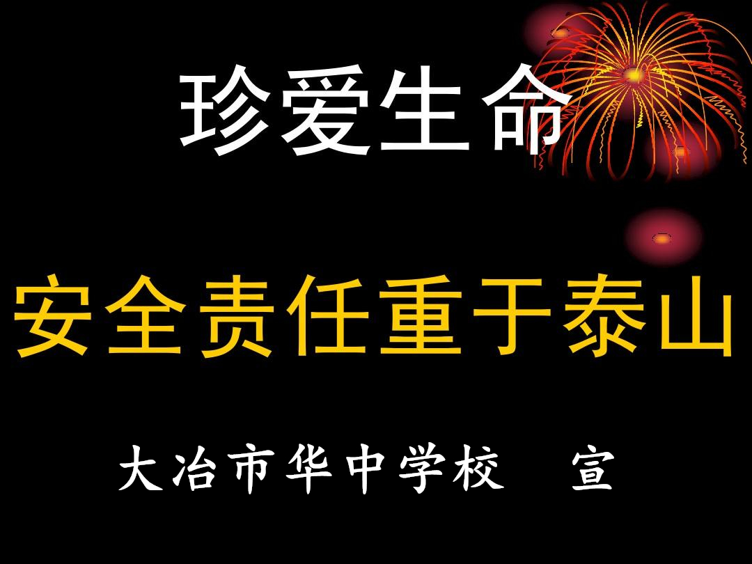 <strong>珍爱生命  安全至上</strong>